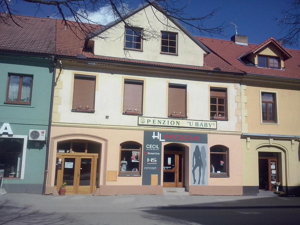 Penzion U Báby Třeboň Kültér fotó